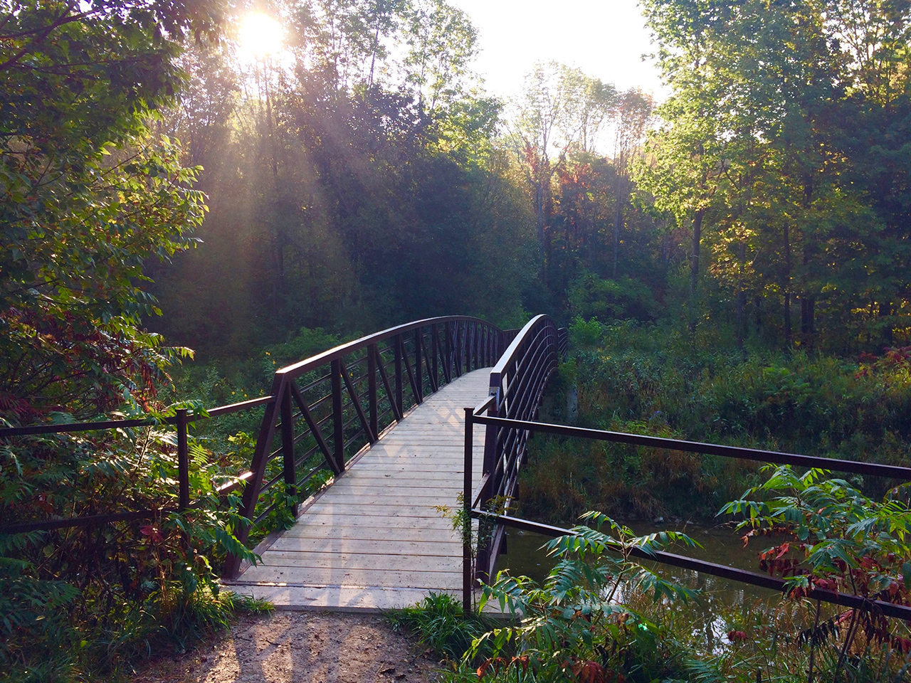 A bridge on a trail in Kincardine.