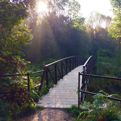 A bridge on a trail in Kincardine.