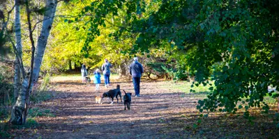 A group of people and their dogs in Kindog Park, Kincardine.